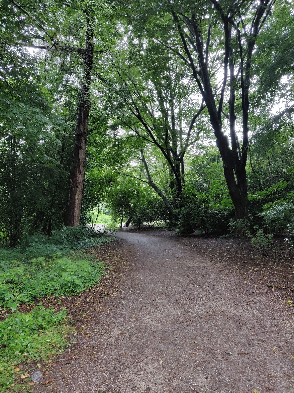 running in june