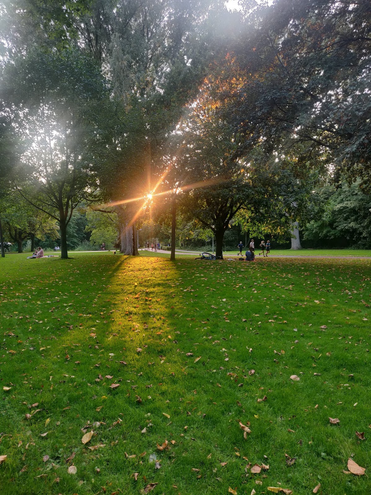 park